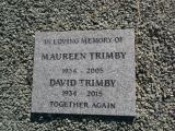image of grave number 572709